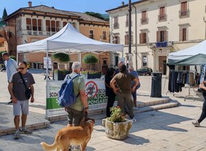 immagine%20whatsapp%202025-08-12%20ore%2014.34.58_f32db0d8.jpeg immagine%20whatsapp%202025-08-12%20ore%2014.34.58_f32db0d8.jpeg