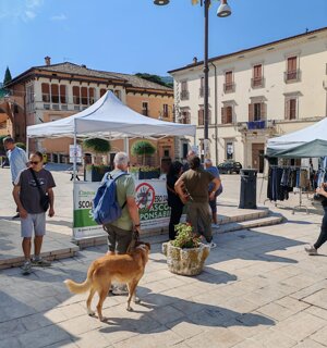 immagine%20whatsapp%202025-08-27%20ore%2018.38.38_618a86ca.jpeg immagine%20whatsapp%202025-08-27%20ore%2018.38.38_618a86ca.jpeg