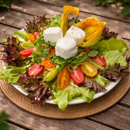 Insalata fresca con caprini sul pontile
