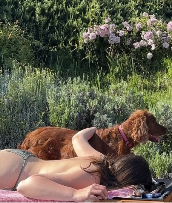 relax con cane.jpeg