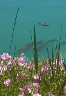 Acqua del Parco del Tevere Extreme