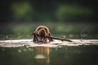 Amici del Parco del Tevere Extreme