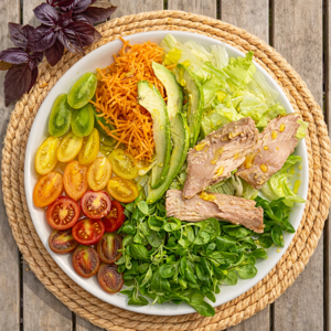 Tuna Salad Tuna Salad