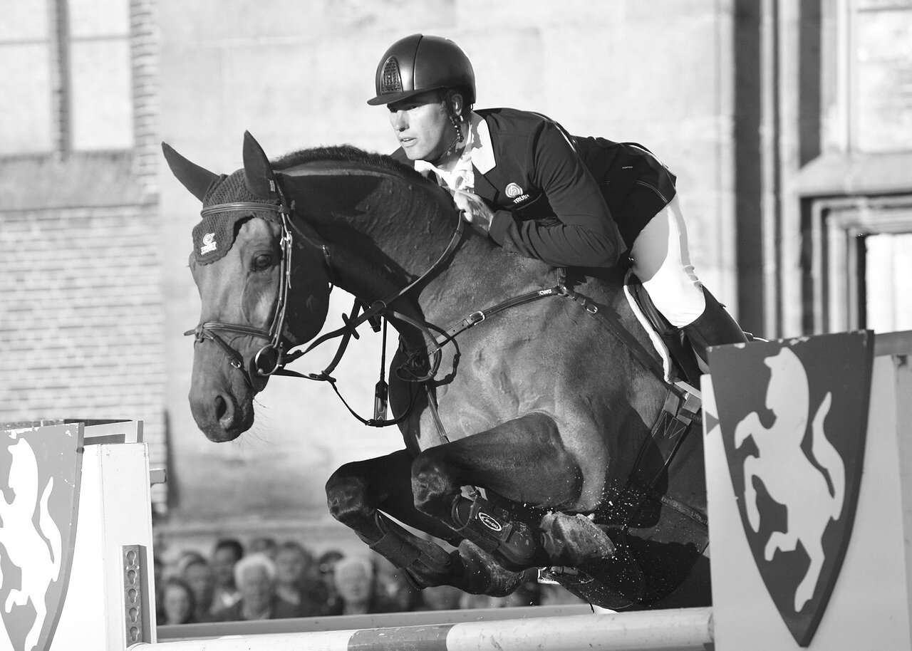 COMPRAVENDITA DEL CAVALLO E VIZI REDIBITORI