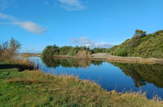 20250912_165720.jpeg 20250912_165720.jpeg