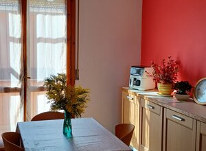 20260217_101346.jpeg 20260217_101346.jpeg