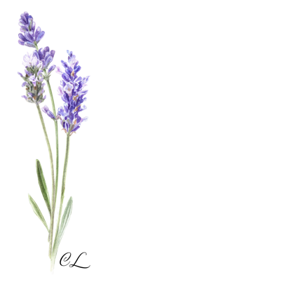 lavanda.fiore (1)