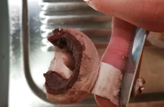 finger%20food%206-1.webp