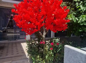 kalta-minor-minaret-in-khiva-uzbekistan-2024-10-16-12-.jpeg kalta-minor-minaret-in-khiva-uzbekistan-2024-10-16-12-.jpeg