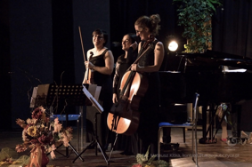 aura trio