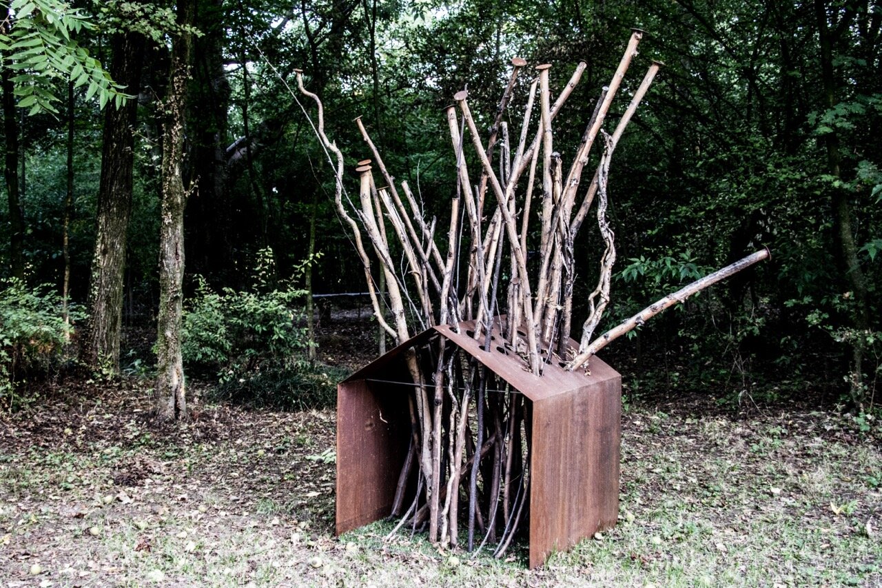 bm2015_00028---dimensioni-grandi.jpeg bm2015_00028---dimensioni-grandi.jpeg