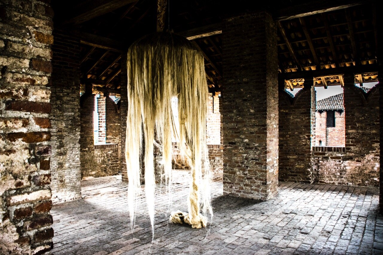 bm2015_00011---dimensioni-grandi.jpeg bm2015_00011---dimensioni-grandi.jpeg