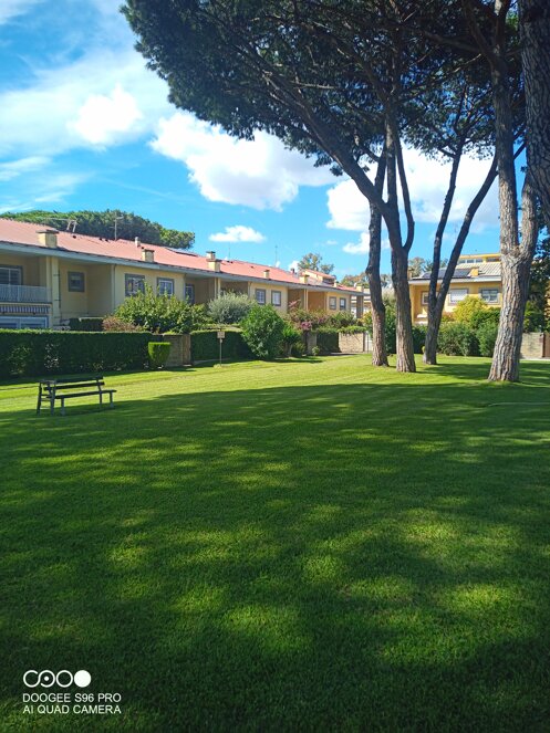 Manutenzioni parchi TeodorGarden Manutenzioni parchi TeodorGarden