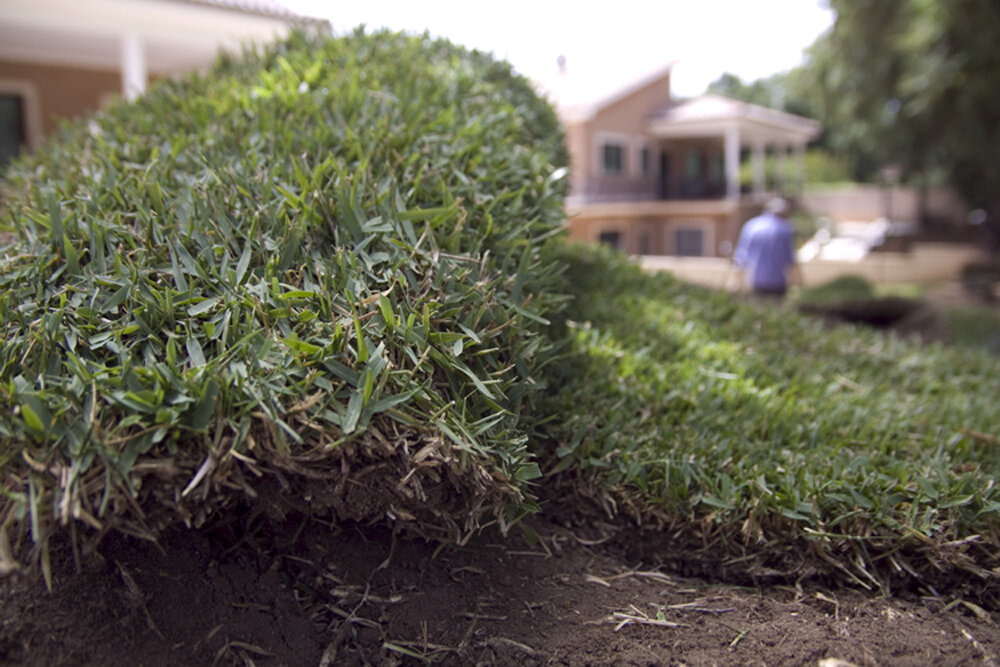 Messa in opera prato pronto