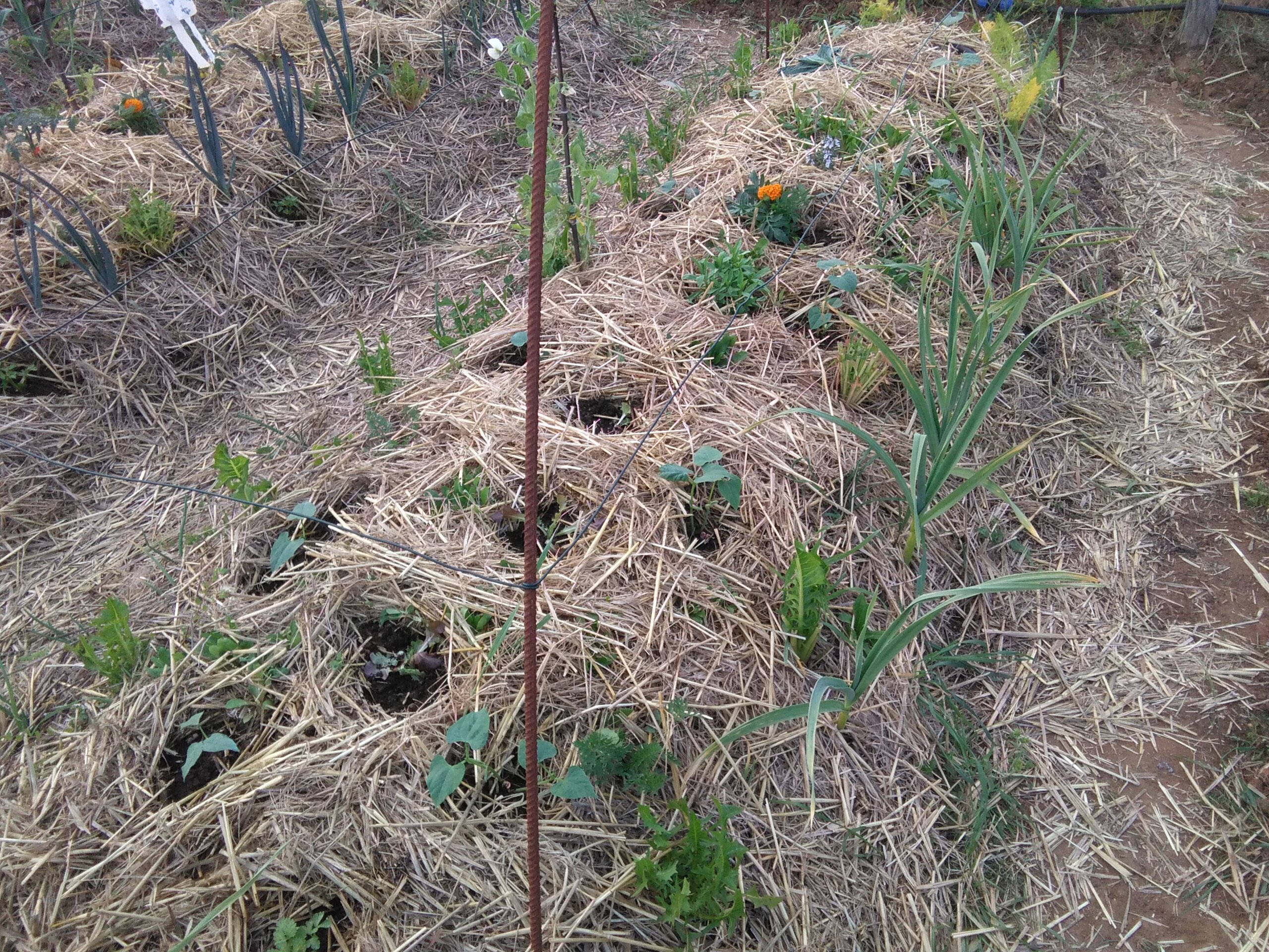 img_20170401_175104.jpeg img_20170401_175104.jpeg