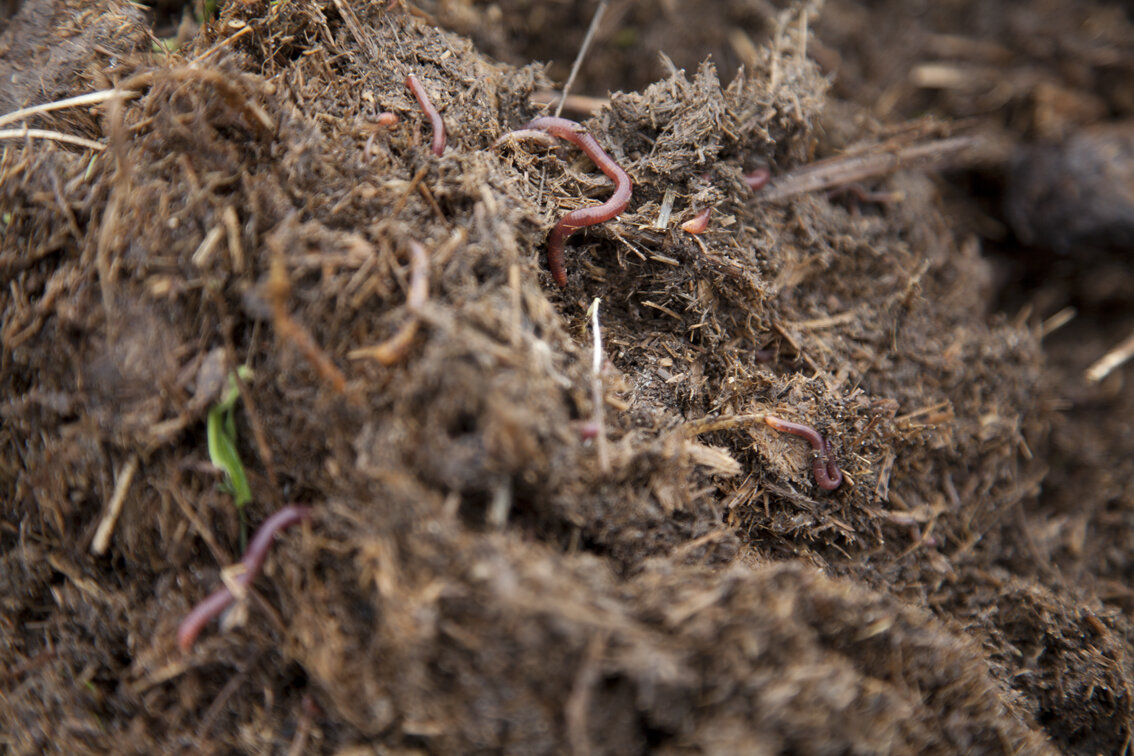 img_3229_web.jpeg img_3229_web.jpeg