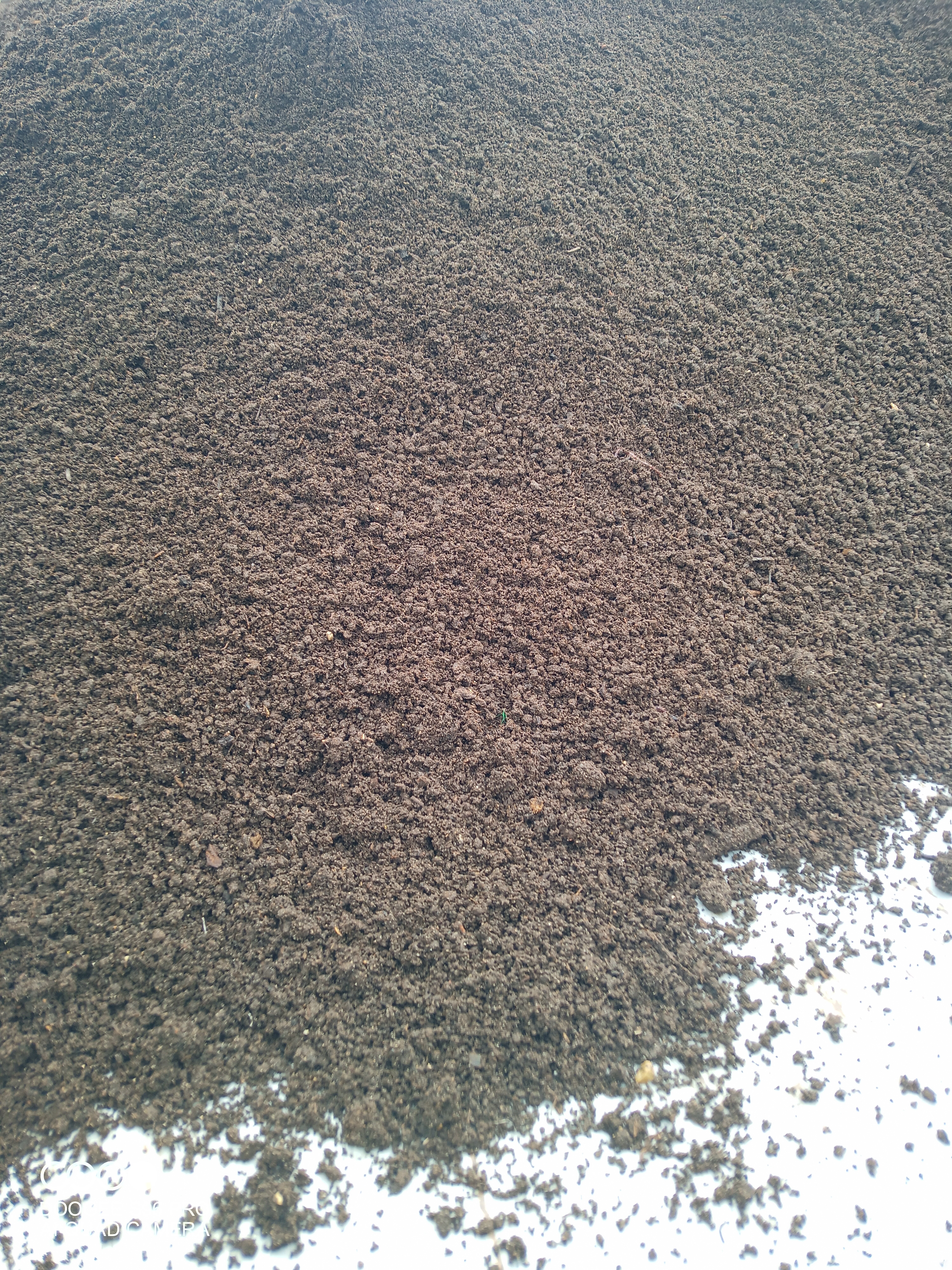 img_20251107_100543_531.jpeg img_20251107_100543_531.jpeg