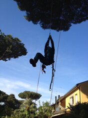 Arrampicata treeclimbing Arrampicata treeclimbing
