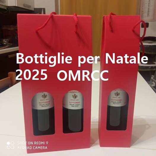 bottiglie di natale.jpeg