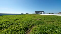 building-flat green roof.jpeg building-flat green roof.jpeg
