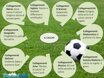tesina-sul-calcio-esame-terza-media-mappa-concettuale(1).jpeg