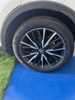 toyota-chr-lounge