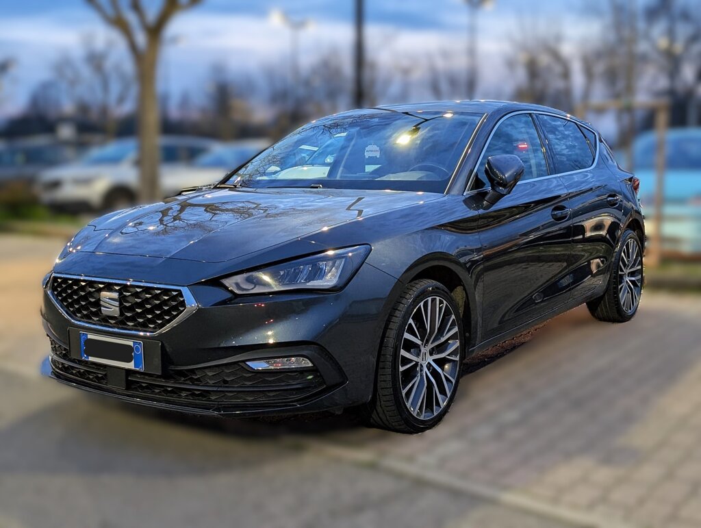 seat leon.jpeg
