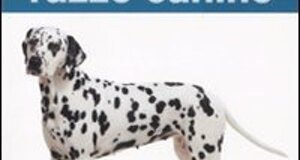 2009_il_cane_in_cittÃ .jpeg