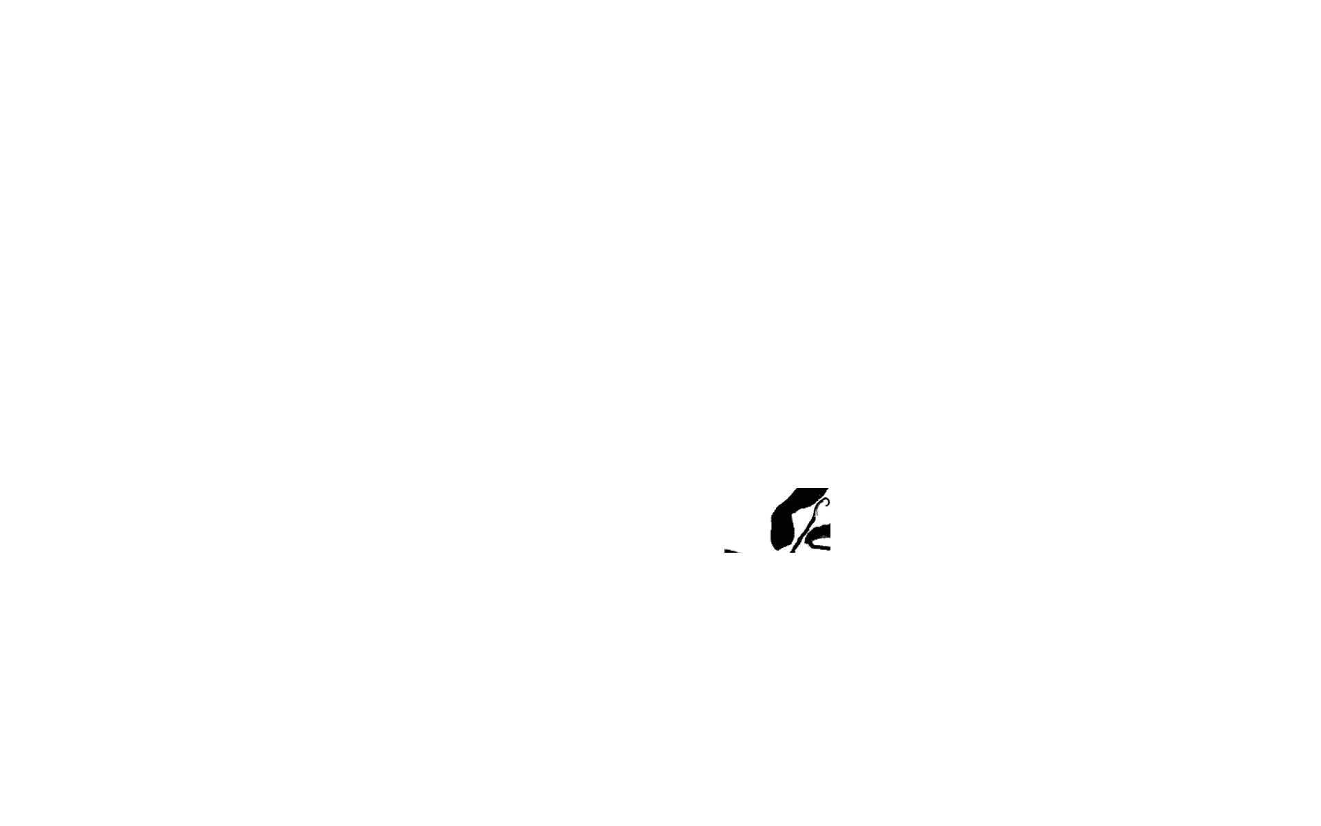 ezgif.com-reverse