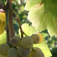 1f7c21ff3c86cf423bf3593dbadb16ec639466dd 1f7c21ff3c86cf423bf3593dbadb16ec639466dd