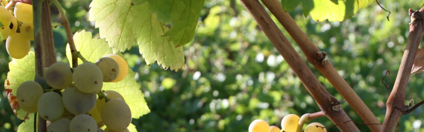 85c97b1e120a866d77a0093058938173bc34fb1b