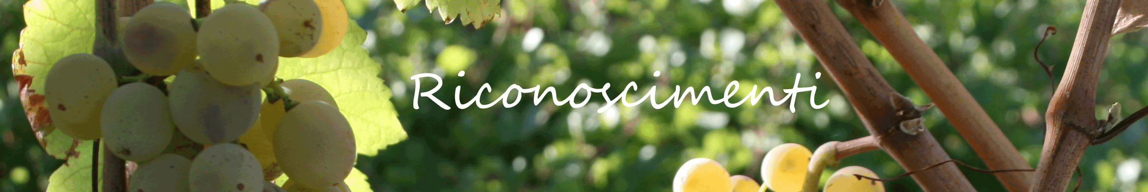 c0331c1821a15deab6062bc6565ea395c0cc6557