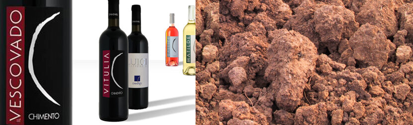 da15100c902318682785e147f4fafcf48914da37