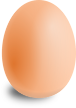 uova-da-allevamento-biologico