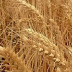 f404786adcd12f39212d05eabf0ff0171c3d830a