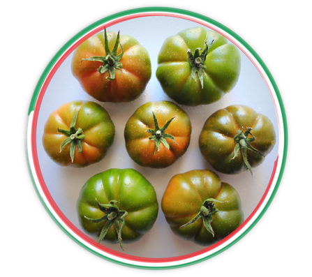 00d2d77d834c4e99b93951ab3198b0b3a05d95c8