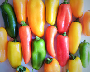 15a1aa19e25967096c180d4eb34af409a750c848