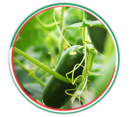 3bd3f464262da0e984f8d022f70b7f2b70103fe8 3bd3f464262da0e984f8d022f70b7f2b70103fe8