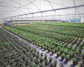 52d2ae525a887fd917c87f76ba759bbc5f487eee