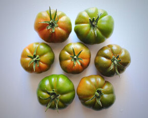 5bc6a050b69e472a7548cdffcd7ef68be4ee2b68