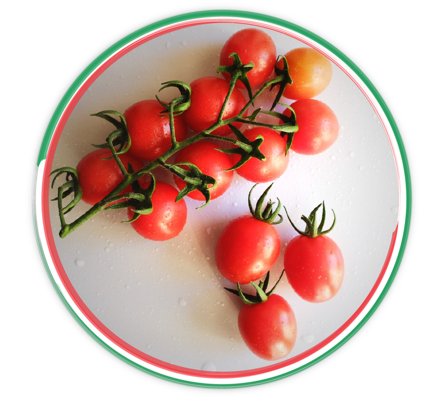 7391f6ba8097927f747d90261277f565f16e0ff6