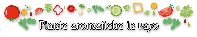 c1cbf52fe188607636e153244ea93dd6ea1d67a4