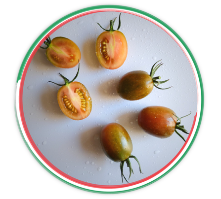 cc8d35782f5697697016c3494a5be1f3a2ef42f2 cc8d35782f5697697016c3494a5be1f3a2ef42f2