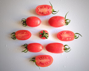 d557cffff8f698e94e993adcd41a688f6bce6cdf