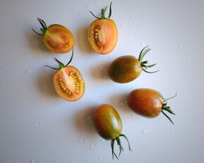 f13e49d26ebe37f2898c612415093699747bc8e8