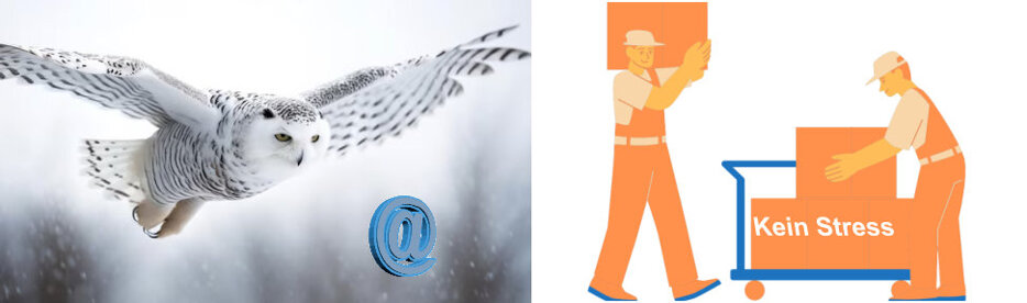kine stress bird l.jpeg kine stress bird l.jpeg