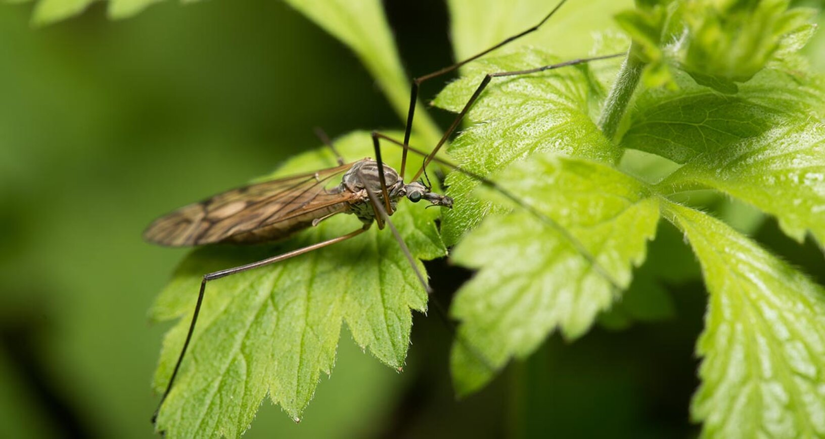 075cbe6745eb11ef7aa1a5e6eabeba57e37faf09 075cbe6745eb11ef7aa1a5e6eabeba57e37faf09