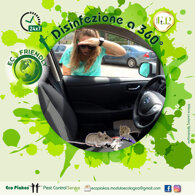 09fc27083dde5ee5dfd70e009a49bd77aa5846d5