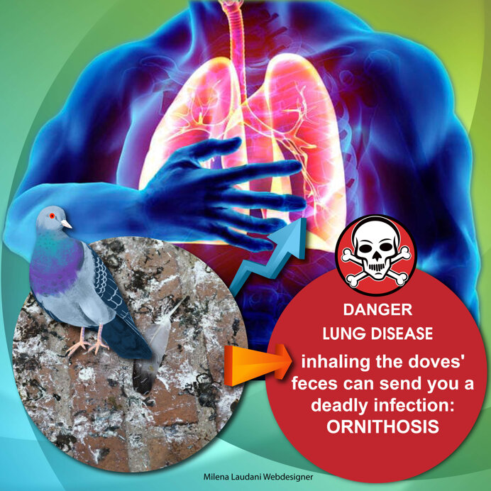 11cae70de44b27e75c00824306ed3627049b6394 11cae70de44b27e75c00824306ed3627049b6394