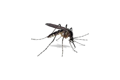 2e506c75e7f621bea2c2be780bd8f8ca17fbf5b3